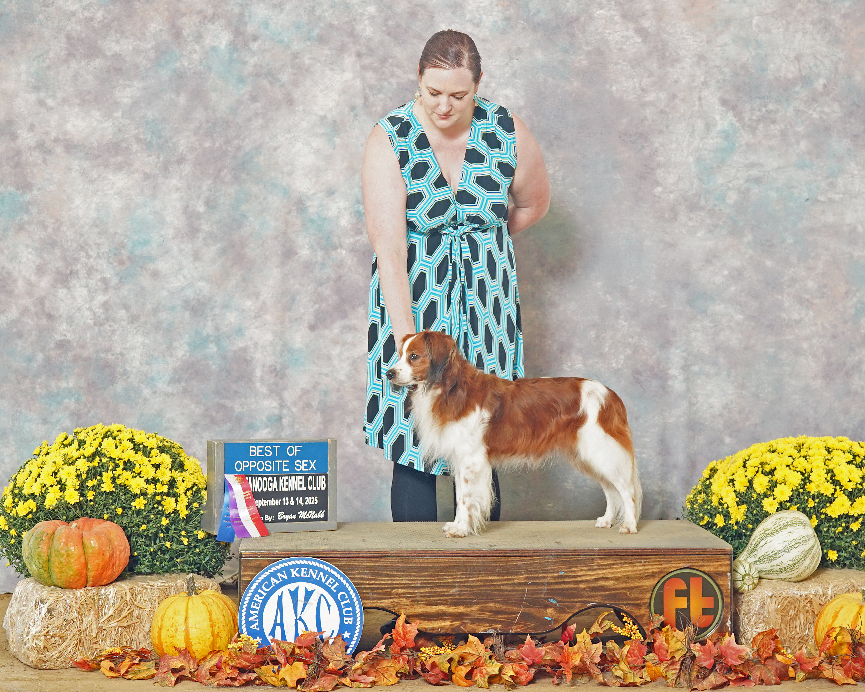 Return to dog sports and Reef visit!
